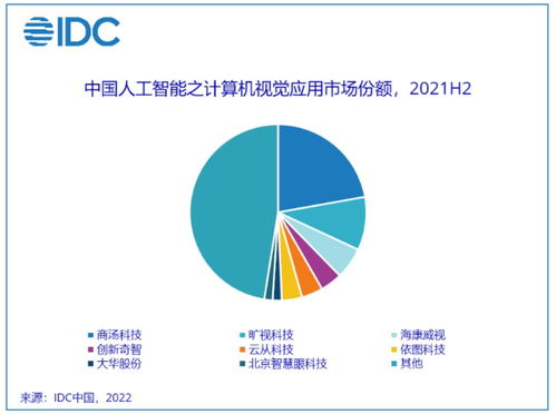 2021年人工智能應(yīng)用軟件開(kāi)發(fā)市場(chǎng) 強(qiáng)勁增長(zhǎng)與技術(shù)革新